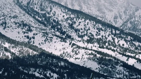 Snow Covered Slope with Dense Pines Stock Footage 313453681