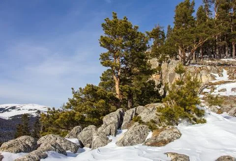 Snow-covered slopes of a mountain range, winter time in a nature park Stock Photos