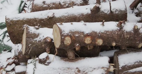 Snow covered stack of freshly swan logs on ground in the backyard 库存影片 148275883