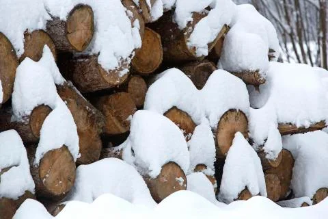 Snow covered stack of wood Stock Photos