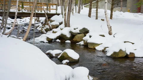 Snow covered stream and small bridge Video stock 329200201