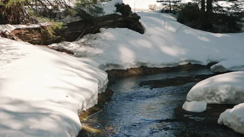 Snow Covered Stream Flowing in Winter Forest Stock Footage 313594384