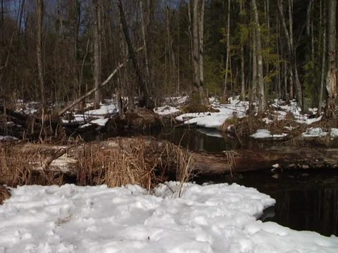 Snow Covered Stream Stock Footage 34328715