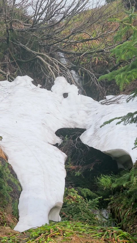Snow-Covered Stream in the Mountains with Spring Meltwater Stock Footage 286200099