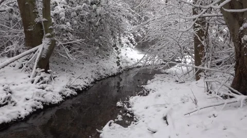 A snow-covered stream in a quiet forest, surrounded by bare trees under a winter Stock Footage 329944878