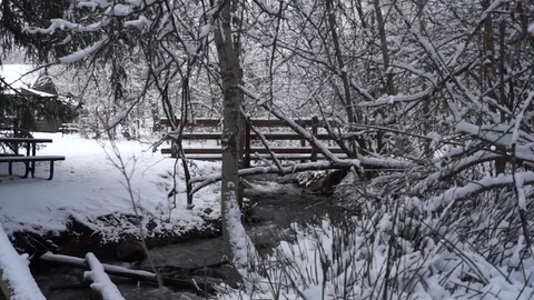 Snow covered stream in the woods Stock Footage