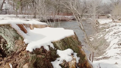 Snow-covered stump Stock Footage 72602695