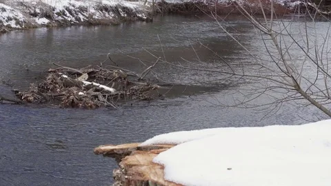 Snow-covered stump next to river Stock Footage 72602200