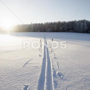 Snow Covered Sunlit Landscape With Skiing Tracks And Ski Poles, Ural, Russia