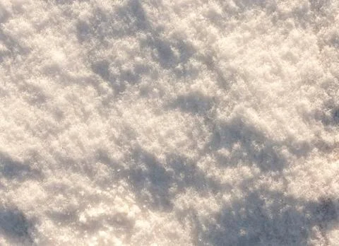Snow covered surface 写真素材