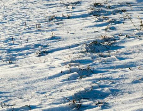 Snow-covered surface Stock Photos