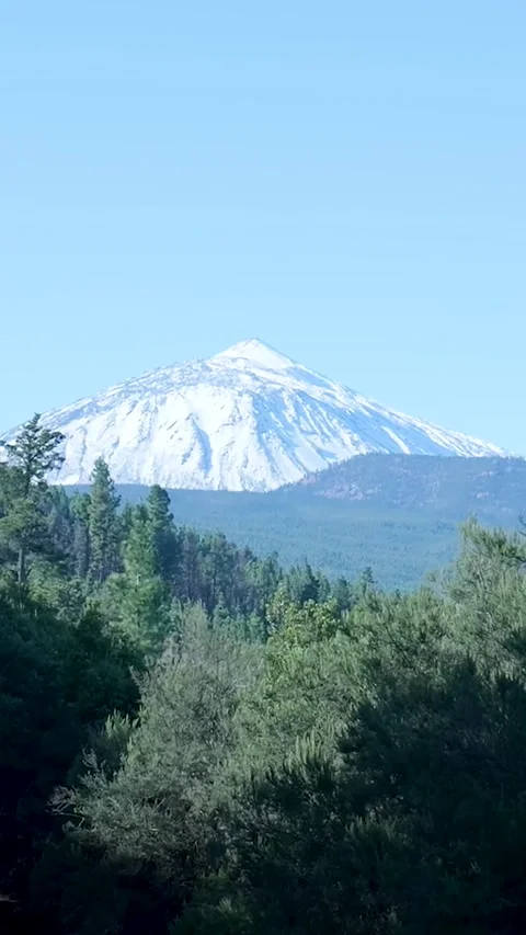 Snow covered teide volcano peak over a green forest Stock Footage 329865384