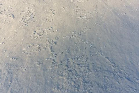 Snow-covered terrain with subtle texture patterns in the bright winter sun 库存照片