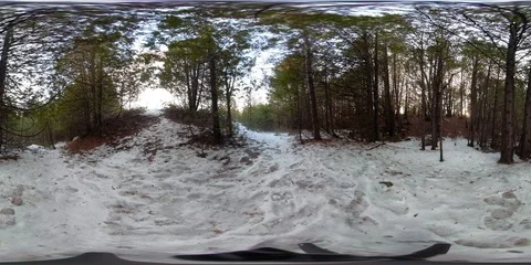Snow Covered Trail in Cedar Forest with the Sun Peeking Over Ridge 360VR Stock Footage