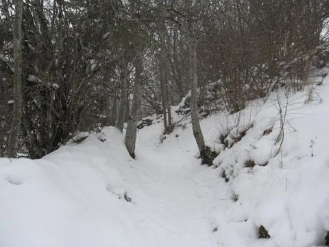 Snow covered trail Stock Photos