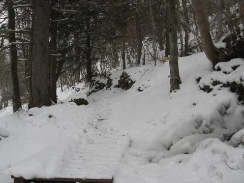 Snow covered trail Stock Photos