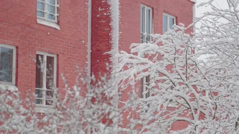 Snow-covered tree and redbrick wall of the building Stock Footage 169662954