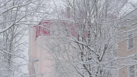 Snow-covered tree and redbrick wall of the building Stock Footage 170432672