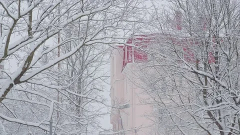 Snow-covered tree and redbrick wall of the building Stock Footage 170432889
