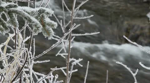 Snow covered tree branch rack to creek Stock Footage 10743403