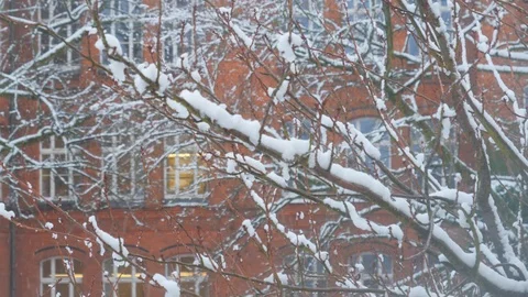 Snow-covered tree branches against red house facade. Stock Footage 95889543