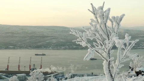 Snow-covered tree branches on the background floating on the Bay ships. Stock Footage 71344979