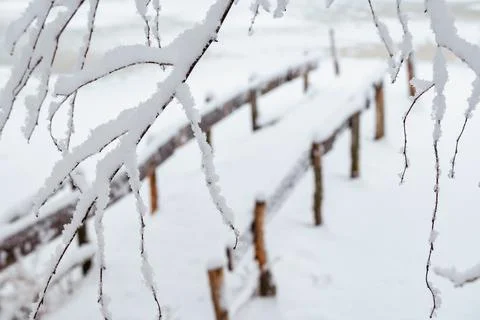 A snow-covered tree branches in front of a wooden bridge at a frozen river in Stock Photos