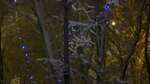 Snow-covered tree branches at night during a snowfall. Stock Footage 155029417