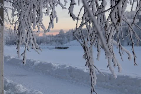 Snow-covered tree branches over a road with snowdrifts. Nearby frozen river, Stock Photos