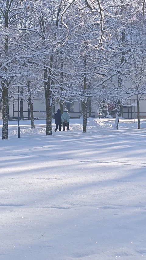 Snow-covered tree branches walk in the park Stock-Footage 327142377