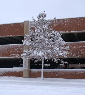 Snow covered tree brick background Stock Photos
