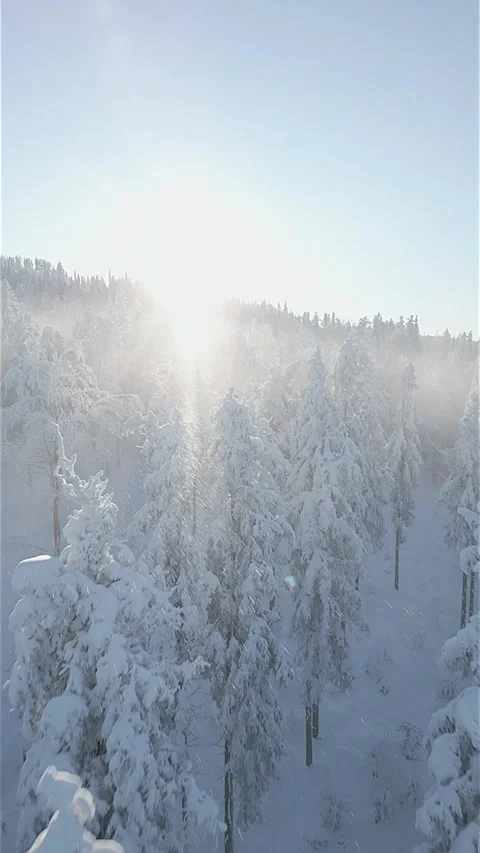Snow-covered tree forest and beautiful landscape in the mountains. 스톡 동영상 247065291