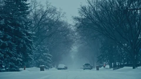Snow-Covered Tree-Lined Street in Winter Blizzard Stock Footage 336224321