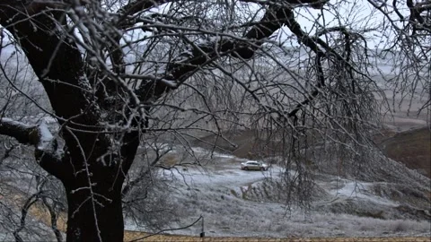 Snow-covered Tree on Mountain Pass Stock Footage 238842261