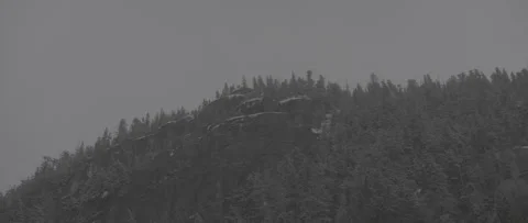 Snow Covered Tree tops on mountain Stock Footage 247515776