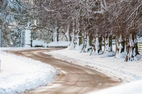 Snow covered tree trunks lining an S shaped bend in a road Stock Photos