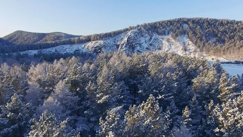Snow-covered trees. Aerial view. Shooting with the drone. 스톡 동영상 73071243