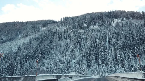 Snow-covered trees after snowfall in Alps, Austria at winter day. Stock Footage 102292462