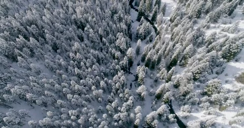 Snow covered trees along river leading up the valley to a town Vídeos de archivo 236623749