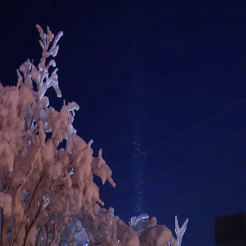 Snow covered trees and the column of frost in the dark evening. Stock Footage 69721899
