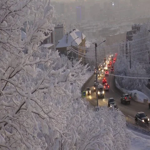 Snow covered trees and road with passing cars, tamelapse. Stock Footage 69721644