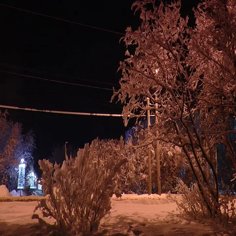 Snow-covered trees and the road with passing cars dark evening. Stock Footage 69721706