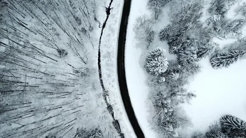 Snow covered trees and road in a beautiful forest taken from the top Stock Footage 226365980