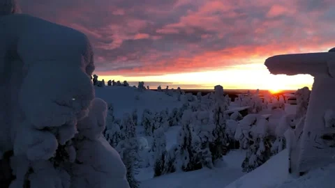 Snow-covered trees and skyline, sunset on the top of the mountain. Winter landsc Stock Footage 179980757
