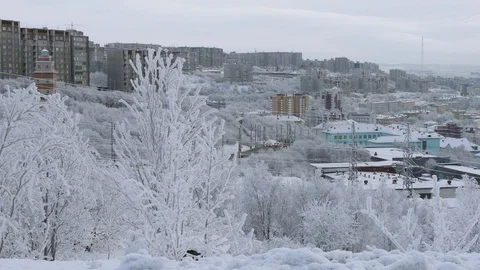 Snow-covered trees on the background of urban buildings. Stock Footage 120417962