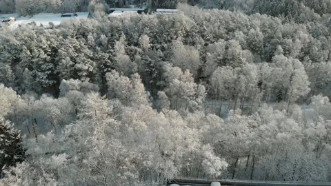 Snow Covered Trees, Barely Visible Road with Traffic, Aerial Top Stock Footage 151754203