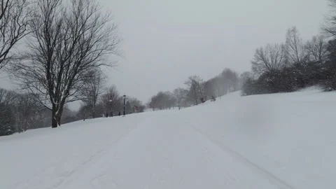 Snow Covered Trees in Calm Winter Weather Stock Footage 323423712