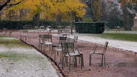 Snow Covered Trees, Chairs and Paths in Luxembourg Gardens Stock Footage 317675700