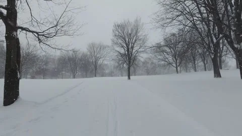 Snow Covered Trees Creating Winter Atmosphere Stock Footage 323424142