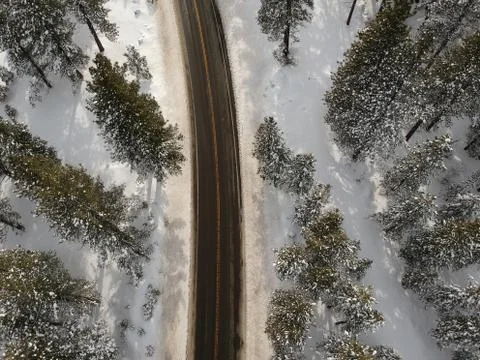 Snow covered trees from Drone Stockfoto's